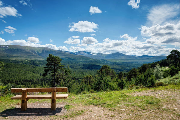 Why we live in the Highlands - Cairngorm Artists