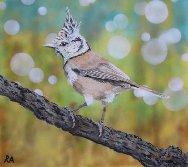 Artist - Robin Aitken - Cairngorm Artists