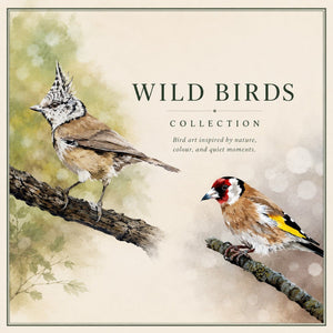 Wild birds - Cairngorm Artists