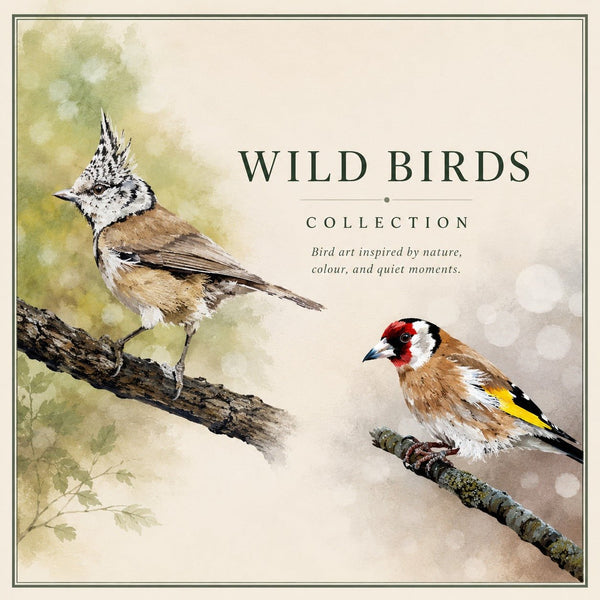 Wild birds - Cairngorm Artists