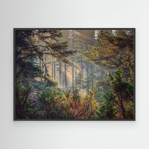Abernethy Quiet - canvas print from original photograph - Cairngorm Artists