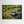 Another Green World - canvas print from original photograph - Cairngorm Artists