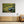 Another Green World - canvas print from original photograph - Cairngorm Artists