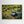 Another Green World - canvas print from original photograph - Cairngorm Artists