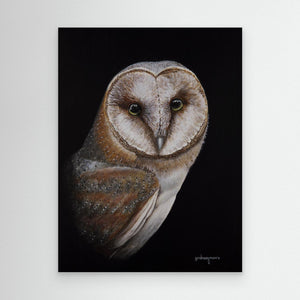 Barn Owl Portrait - Canvas print from original artwork - Cairngorm Artists