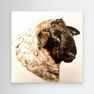 Black-faced Sheep - canvas print from original artwork - Cairngorm Artists