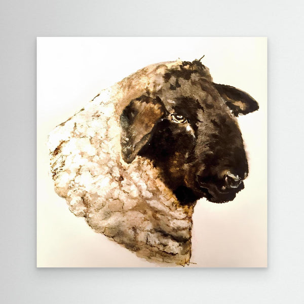 Black - faced Sheep - canvas print from original artwork - Cairngorm Artists