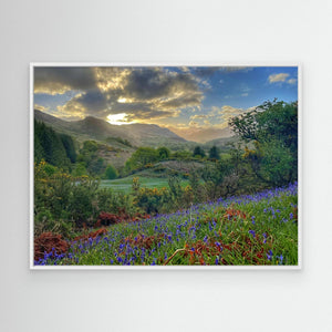 Bluebell Glen, Balmacara - canvas print from original photograph - Cairngorm Artists