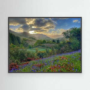 Bluebell Glen, Balmacara - canvas print from original photograph - Cairngorm Artists
