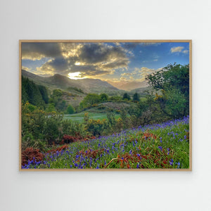 Bluebell Glen, Balmacara - canvas print from original photograph - Cairngorm Artists