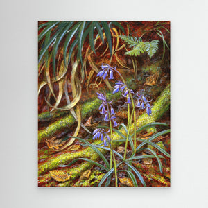 Bluebells - canvas print from original artwork - Cairngorm Artists