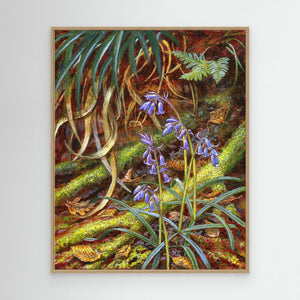 Bluebells - canvas print from original artwork - Cairngorm Artists