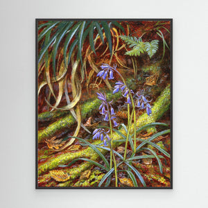 Bluebells - canvas print from original artwork - Cairngorm Artists