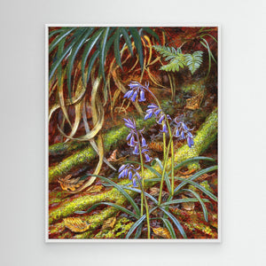 Bluebells - canvas print from original artwork - Cairngorm Artists
