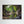 Bridge of Avon Viewpoint - canvas print from original photograph - Cairngorm Artists