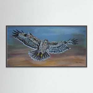 Buzzard in Flight - canvas print from original artwork - Cairngorm Artists