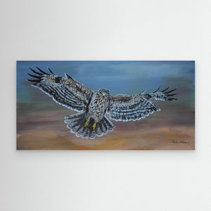 Buzzard in Flight - canvas print from original artwork - Cairngorm Artists