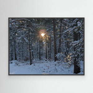Cairngorms Winter Sun - canvas print from original photograph - Cairngorm Artists