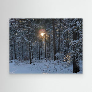 Cairngorms Winter Sun - canvas print from original photograph - Cairngorm Artists