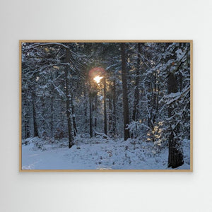 Cairngorms Winter Sun - canvas print from original photograph - Cairngorm Artists