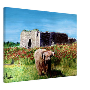 Canvas - Coo and Castle - Cairngorm Artists