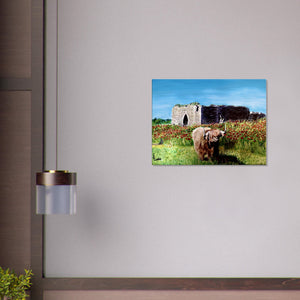 Canvas - Coo and Castle - Cairngorm Artists