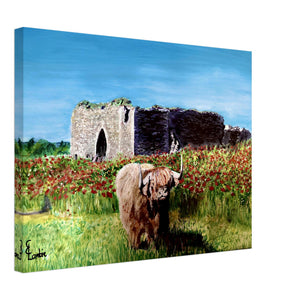 Canvas - Coo and Castle - Cairngorm Artists