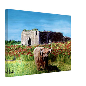 Canvas - Coo and Castle - Cairngorm Artists