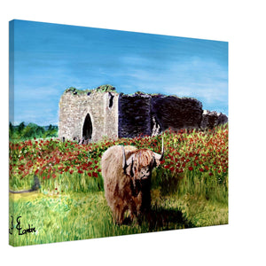 Canvas - Coo and Castle - Cairngorm Artists