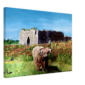 Canvas - Coo and Castle - Cairngorm Artists