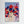Cornflowers - canvas print from original artwork - Cairngorm Artists