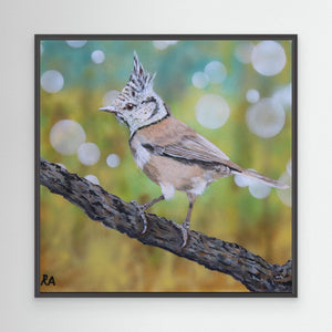Crested Tit - canvas print from original artwork - Cairngorm Artists