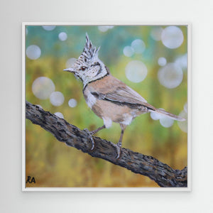 Crested Tit - canvas print from original artwork - Cairngorm Artists