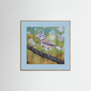 Crested Tit - fine art print from original artwork - Cairngorm Artists