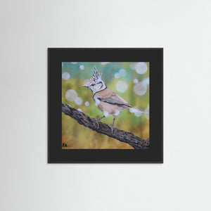 Crested Tit - fine art print from original artwork - Cairngorm Artists