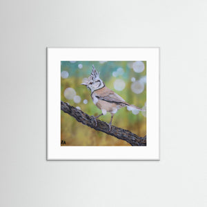 Crested Tit - fine art print from original artwork - Cairngorm Artists