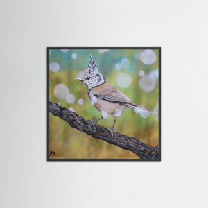 Crested Tit - fine art print from original artwork - Cairngorm Artists
