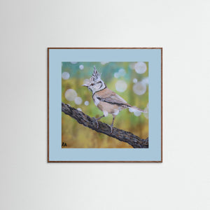 Crested Tit - fine art print from original artwork - Cairngorm Artists