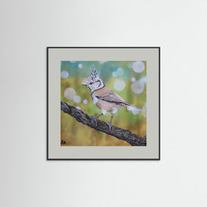 Crested Tit - fine art print from original artwork - Cairngorm Artists