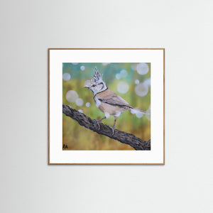 Crested Tit - fine art print from original artwork - Cairngorm Artists