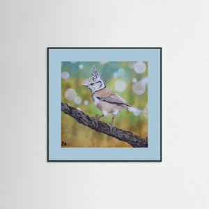 Crested Tit - fine art print from original artwork - Cairngorm Artists