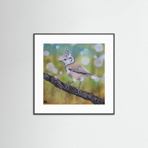 Crested Tit - fine art print from original artwork - Cairngorm Artists