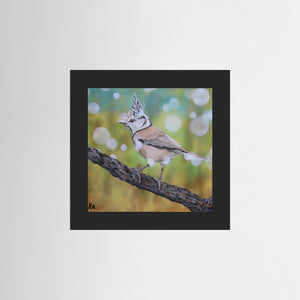 Crested Tit - fine art print from original artwork - Cairngorm Artists