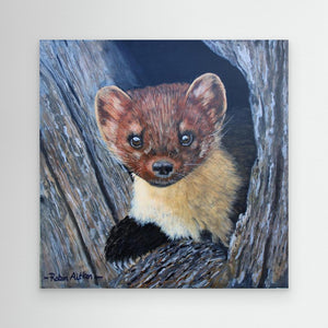 Curious Pine Marten - canvas print from original acrylic painting - Cairngorm Artists