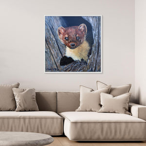 Curious Pine Marten - canvas print from original acrylic painting - Cairngorm Artists