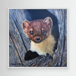 Curious Pine Marten - canvas print from original acrylic painting - Cairngorm Artists