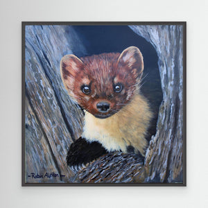 Curious Pine Marten - canvas print from original acrylic painting - Cairngorm Artists