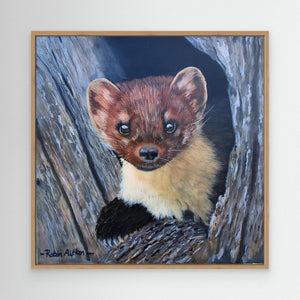 Curious Pine Marten - canvas print from original acrylic painting - Cairngorm Artists