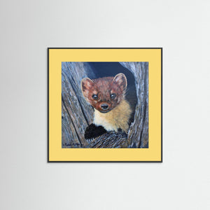Curious Pine Marten - fine art print from original acrylic painting - Cairngorm Artists