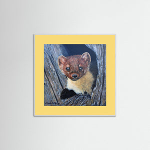 Curious Pine Marten - fine art print from original acrylic painting - Cairngorm Artists